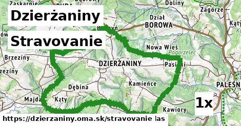 stravovanie v Dzierżaniny