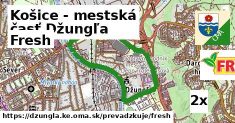 Fresh v Košice - mestská časť Džungľa