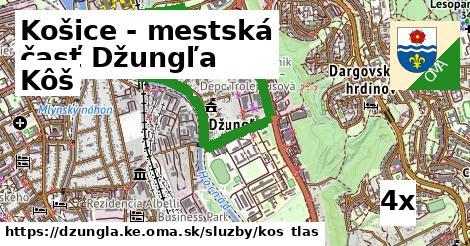 kôš v Košice - mestská časť Džungľa