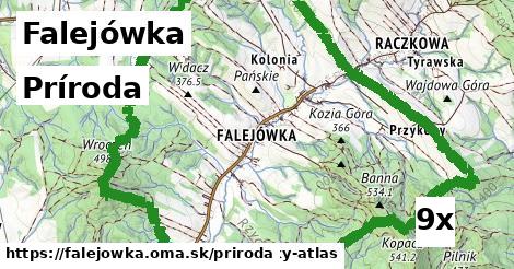 príroda v Falejówka