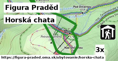 Horská chata, Figura Praděd