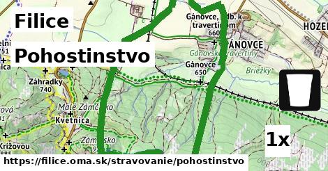 Pohostinstvo, Filice