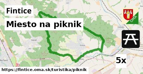 Miesto na piknik, Fintice