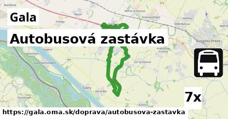 Autobusová zastávka, Gala