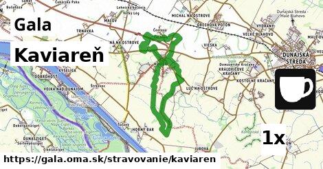 Kaviareň, Gala