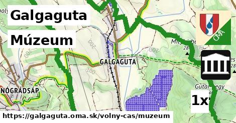 Múzeum, Galgaguta