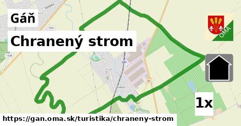 Chranený strom, Gáň