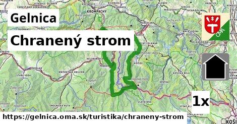 Chranený strom, Gelnica