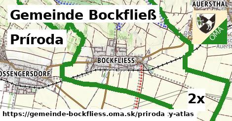 príroda v Gemeinde Bockfließ