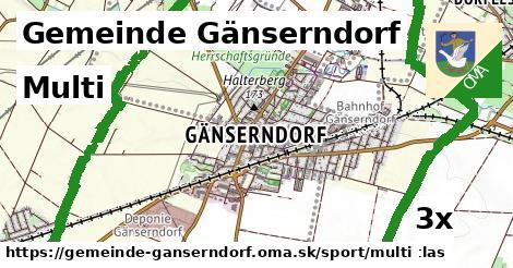 multi v Gemeinde Gänserndorf