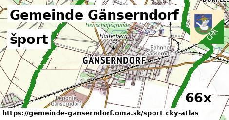 šport v Gemeinde Gänserndorf