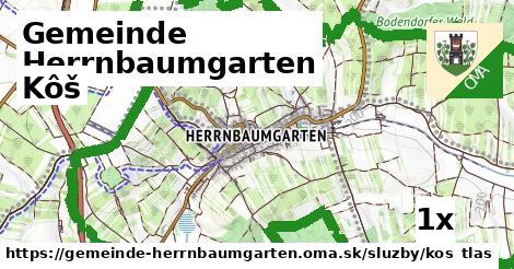 Kôš, Gemeinde Herrnbaumgarten