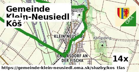Kôš, Gemeinde Klein-Neusiedl