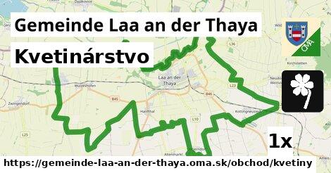 Kvetinárstvo, Gemeinde Laa an der Thaya