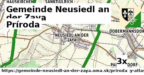 príroda v Gemeinde Neusiedl an der Zaya