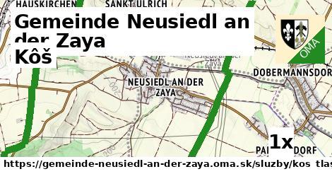 Kôš, Gemeinde Neusiedl an der Zaya