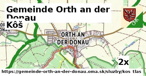 Kôš, Gemeinde Orth an der Donau