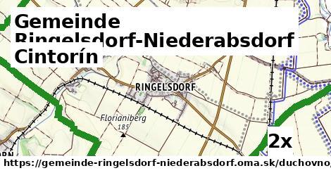 Cintorín, Gemeinde Ringelsdorf-Niederabsdorf