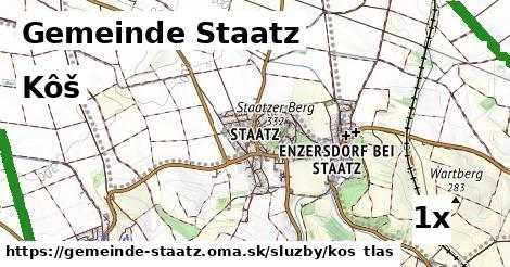 Kôš, Gemeinde Staatz