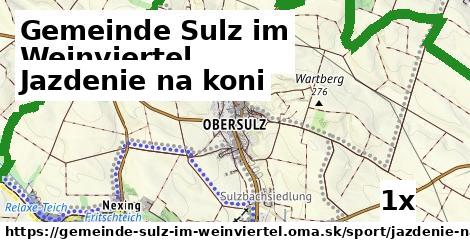 Jazdenie na koni, Gemeinde Sulz im Weinviertel