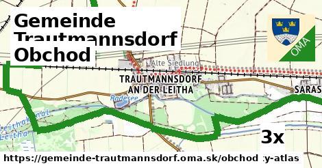 obchod v Gemeinde Trautmannsdorf