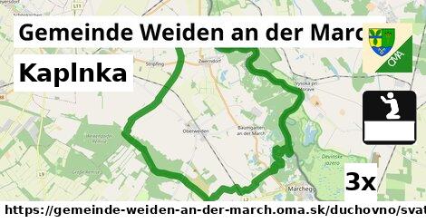 Kaplnka, Gemeinde Weiden an der March