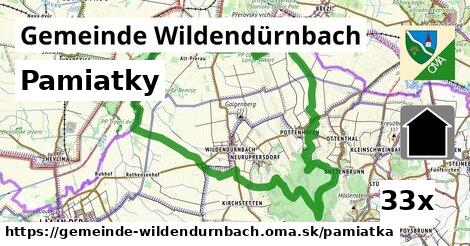 pamiatky v Gemeinde Wildendürnbach