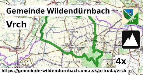 Vrch, Gemeinde Wildendürnbach
