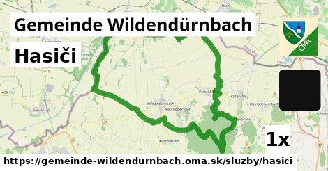 Hasiči, Gemeinde Wildendürnbach