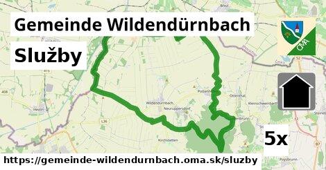 služby v Gemeinde Wildendürnbach