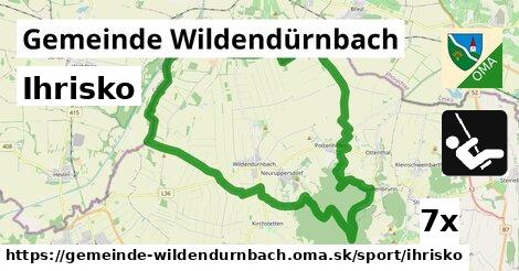 Ihrisko, Gemeinde Wildendürnbach