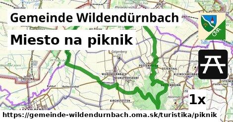 Miesto na piknik, Gemeinde Wildendürnbach