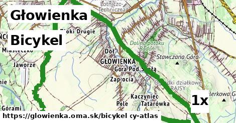 bicykel v Głowienka