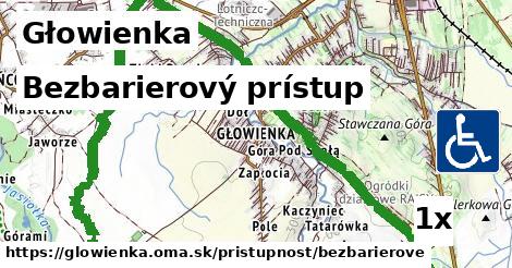 Bezbarierový prístup, Głowienka