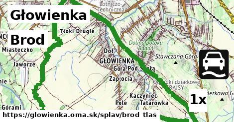 Brod, Głowienka