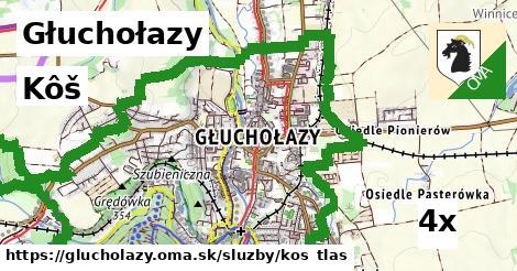 Kôš, Głuchołazy