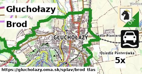 Brod, Głuchołazy