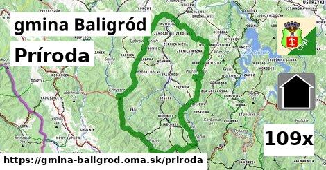 príroda v gmina Baligród