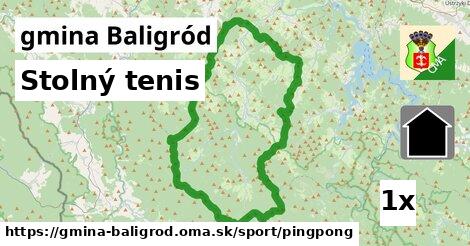 Stolný tenis, gmina Baligród