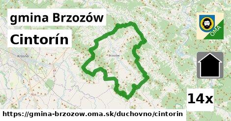 Cintorín, gmina Brzozów