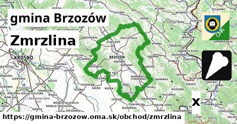 Zmrzlina, gmina Brzozów