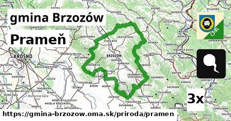 prameň v gmina Brzozów