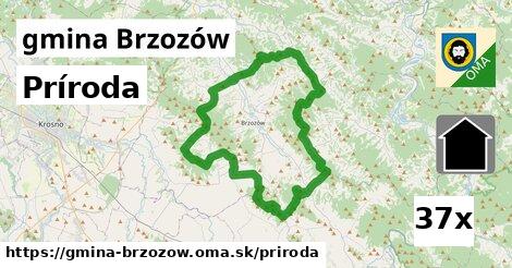 príroda v gmina Brzozów