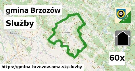 služby v gmina Brzozów