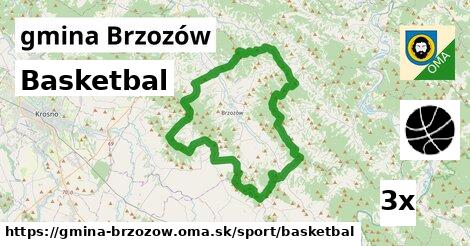 basketbal v gmina Brzozów