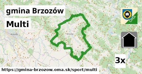 Multi, gmina Brzozów