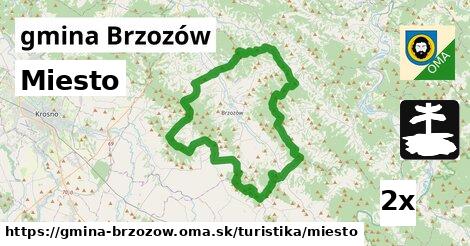 Miesto, gmina Brzozów