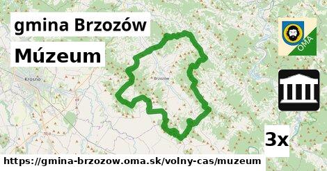 Múzeum, gmina Brzozów