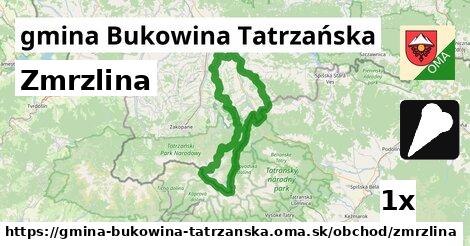 zmrzlina v gmina Bukowina Tatrzańska