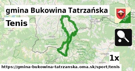 Tenis, gmina Bukowina Tatrzańska